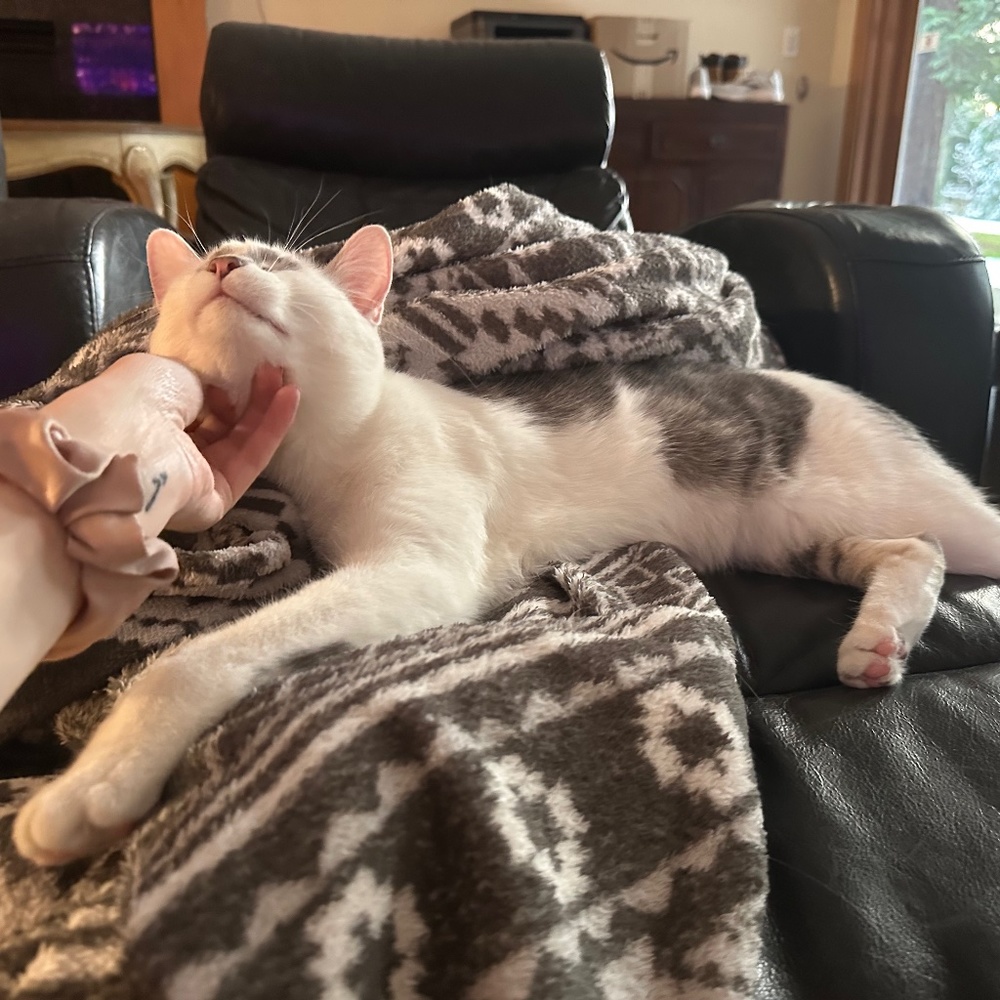 Meet your Posher, Grace